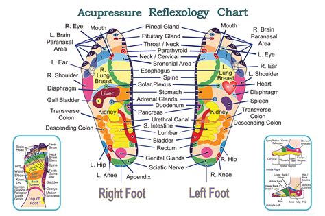 The Healing Touch of Magic Feet: Exploring Reflexology Benefits in Peoria, AZ